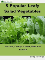 5 Popular Leafy Salad Vegetable