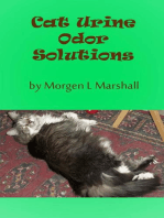 Cat Urine Odor Solutions