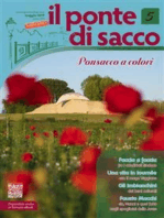 Il Ponte di Sacco - maggio 2019