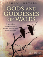 Pagan Portals - Gods and Goddesses of Wales: A Practical Introduction To Welsh Deities And Their Stories