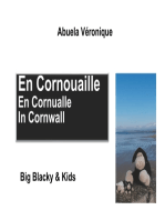 En Cornouaille: Big Blacky & Kids