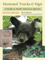 Mammal Tracks & Sign: A Guide to North American Species