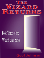 The Wizard Returns: Book Three of the Wizard Born Series