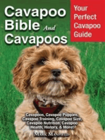Cavapoo Bible And Cavapoos: Your Perfect Cavapoo Guide Cavapoos, Cavapoo Puppies, Cavapoo Training, Cavapoo Size, Cavapoo Nutrition, Cavapoo Health, History, & More!