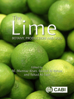 Lime, The: Botany, Production and Uses