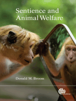 Sentience and Animal Welfare