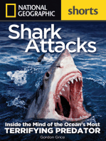 Shark Attacks: Inside the Mind of the Ocean's Most Terrifying Predator