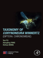Taxonomy of Corynoneura Winnertz (Diptera