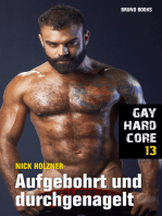 Gay Hardcore 13