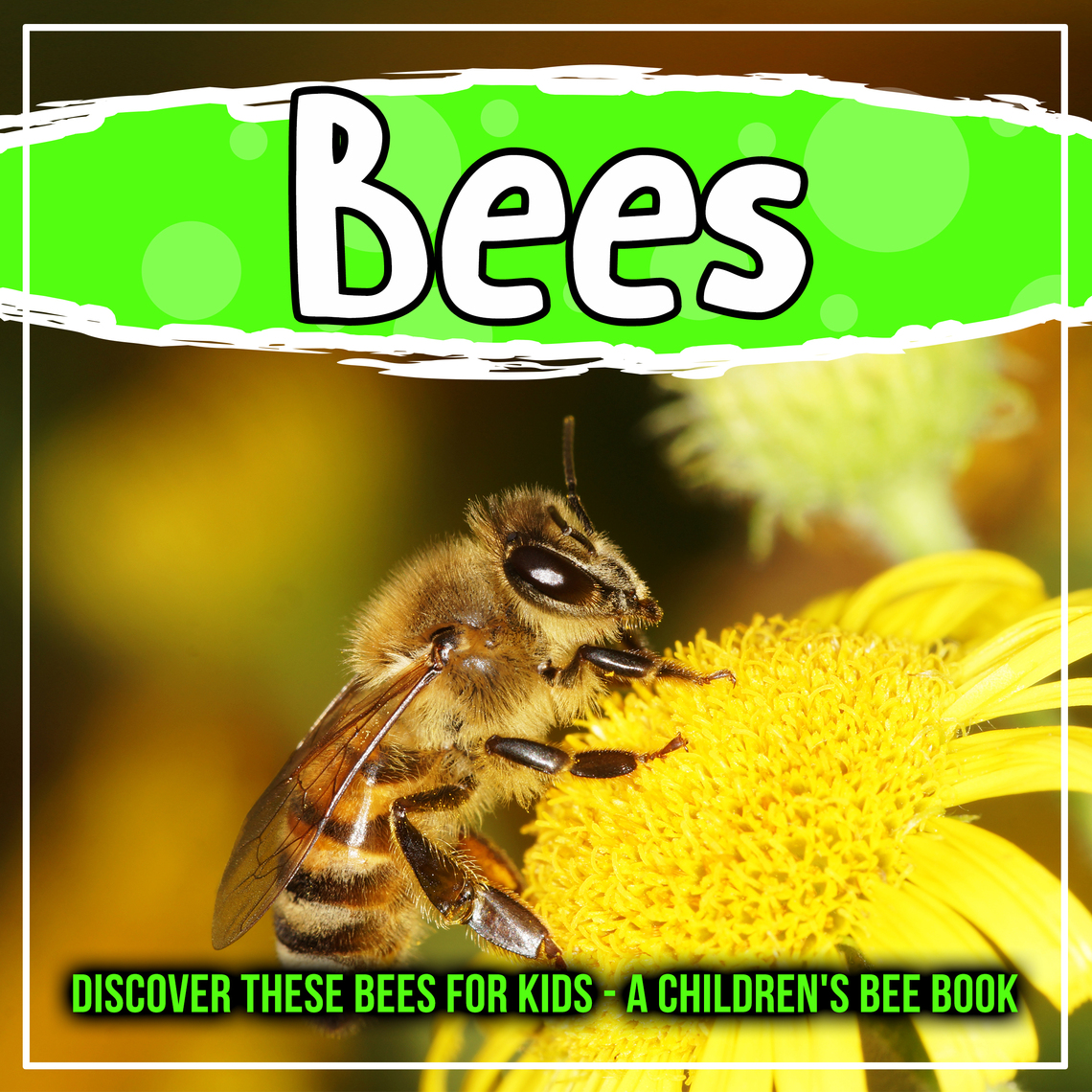 Kids Books About Bees