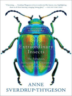 Extraordinary Insects: The Fabulous, Indispensable Creatures Who Run Our World