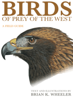 Birds of Prey of the West: A Field Guide