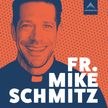 The Fr. Mike Schmitz Catholic Podcast