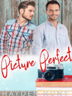 Picture Perfect: A Steamy MM Romance
