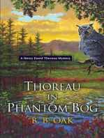 Thoreau in Phantom Bog