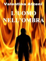 L'uomo nell'ombra