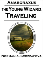 The Young Wizard, Traveling