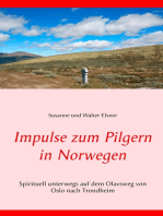 Impulse zum Pilgern in Norwegen: Spirituell unterwegs auf dem Olavsweg von Oslo nach Trondheim