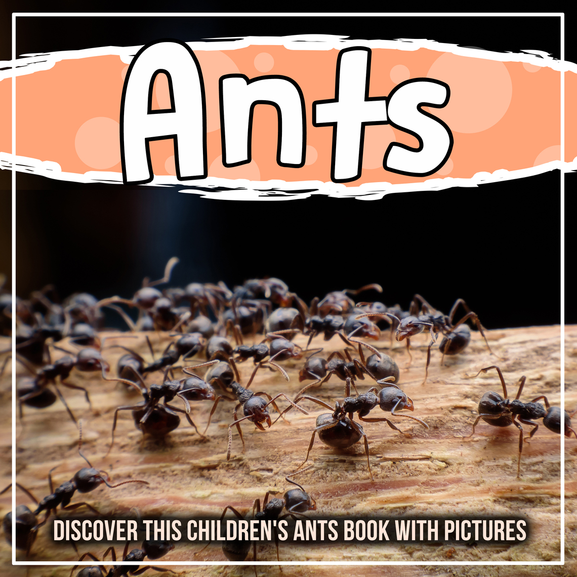 Learn About Ants For Kids Ants Activities Ants For Ki vrogue.co