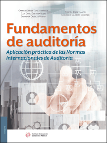 Fundamentos de auditoría. Aplicación práctica de las Normas Internacionales de Auditoría