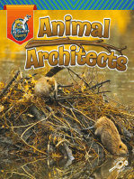 Animal Architects