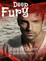 Deep Fury (Aidan Undercover 2)