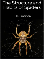 The Structure and Habits of Spiders