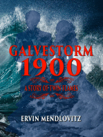 GalveStorm 1900