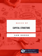 Basics of Capital Structure