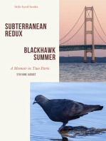 Subterranean Redux & Blackhawk Summer: A Memoir in Two Parts