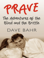Prave: The Adventures of the Blind and the Brittle