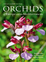 Field Guide to the Orchids of Europe and the Mediterranean