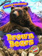 Brown Bears