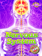 Nervous System, The