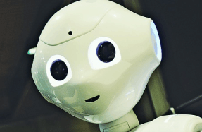 For Bees Growing Up And Leaving Home Has A Scent Scribd - 