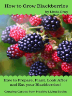 How to Grow Blackberries: Growing Guides