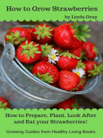 How to Grow Strawberries: Growing Guides