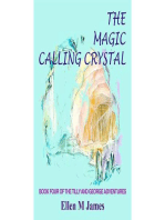 The Magic Calling Crystal: The Tilly and George Adventures, #4