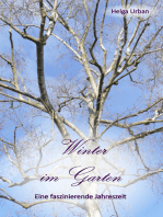 Winter im Garten: Eine faszinierende Jahreszeit