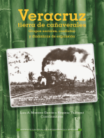 Veracruz, tierra de cañaverales. Grupos sociales, conflictos y dinámicas de expansión: Grupos sociales, conflictos y dinámicas de expansión