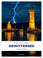 Gewittersee: Bodensee Krimi