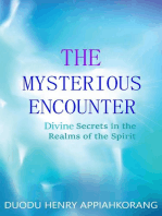 The Mysterious Encounter