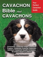 Cavachon Bible And Cavachons: Your Perfect Cavachon Guide Cavachons, Cavachon Dogs, Cavachon Puppies, Cavachon Training, Cavachon Nutrition, Cavachon Health, Cavachon Breeders, History, & More!