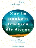 Nur im Dunkeln leuchten dir Sterne: Eine Erzählung für Suchende