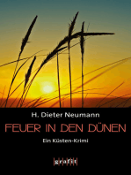 Feuer in den Dünen