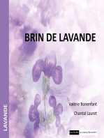 Brin de lavande