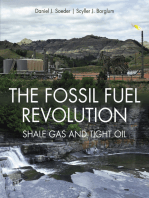 The Fossil Fuel Revolution: Shale Gas and Tight Oil