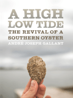 A High Low Tide: The Revival of a Southern Oyster