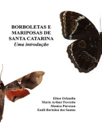 Borboletas E Mariposas De Santa Catarina