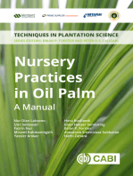 Nursery Practices in Oil Palm